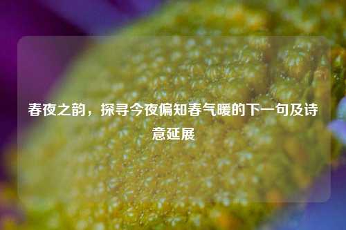 春夜之韵，探寻今夜偏知春气暖的下一句及诗意延展