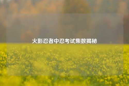 火影忍者中忍考试集数揭秘