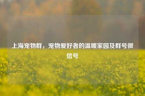 上海宠物群,宠物爱好者的温暖家园及群号微信号