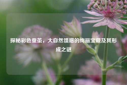 探秘彩色蚕茧，大自然馈赠的绚丽宝藏及其形成之谜