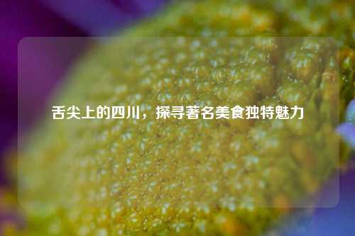 舌尖上的四川，探寻著名美食独特魅力