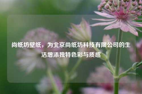 尚纸坊壁纸，为北京尚纸坊科技有限公司的生活增添独特色彩与质感