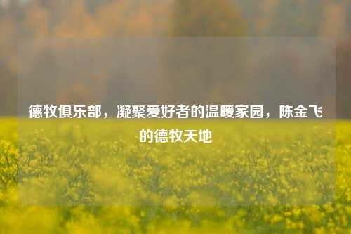 德牧俱乐部，凝聚爱好者的温暖家园，陈金飞的德牧天地
