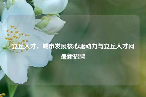 安丘人才，城市发展核心驱动力与安丘人才网最新招聘