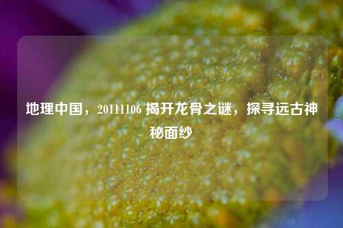 地理中国,20111106 揭开龙骨之谜,探寻远古神秘面纱