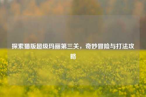 探索猫版超级玛丽第三关，奇妙冒险与打法攻略