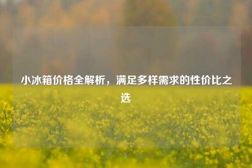 小冰箱价格全解析，满足多样需求的性价比之选