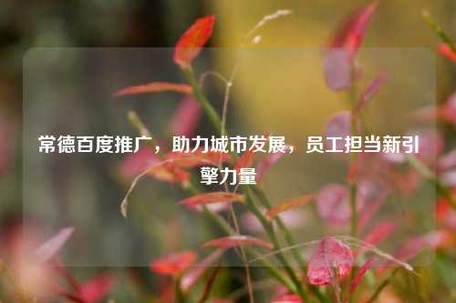 常德百度推广,助力城市发展,员工担当新引擎力量