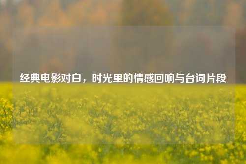 经典电影对白,时光里的情感回响与台词片段