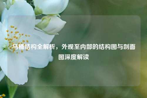马桶结构全解析,外观至内部的结构图与剖面图深度解读