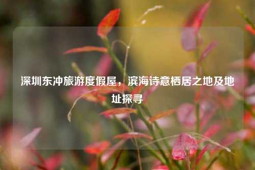 深圳东冲旅游度假屋,滨海诗意栖居之地及地址探寻