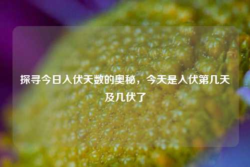 探寻今日入伏天数的奥秘,今天是入伏第几天及几伏了