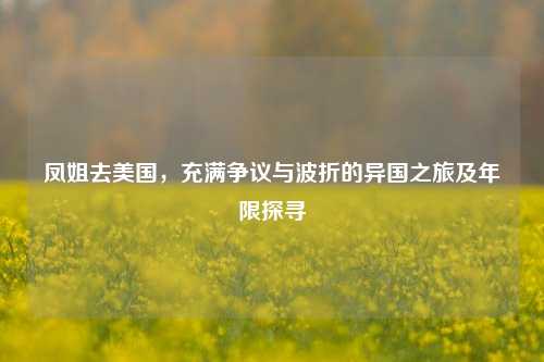凤姐去美国，充满争议与波折的异国之旅及年限探寻