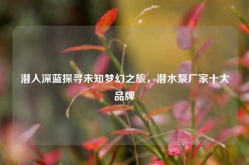潜入深蓝探寻未知梦幻之旅,潜水泵厂家十大品牌