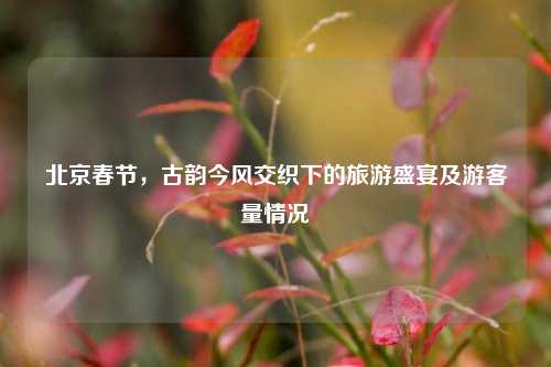 北京春节，古韵今风交织下的旅游盛宴及游客量情况