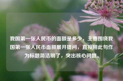 我国第一张人民币的面额是多少，主要围绕我国第一张人民币面额展开提问，直接用此句作为标题简洁明了，突出核心问题。