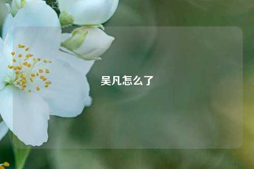 吴凡怎么了