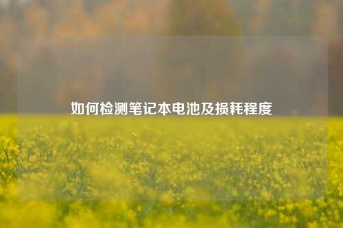 如何检测笔记本电池及损耗程度