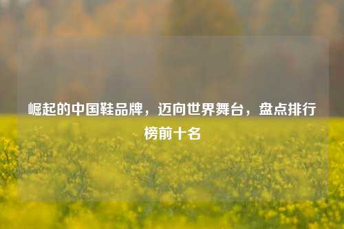 崛起的中国鞋品牌,迈向世界舞台,盘点排行榜前十名
