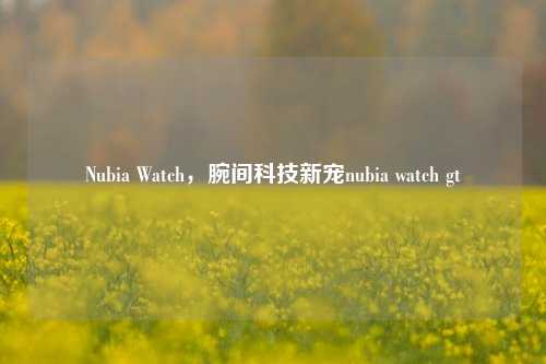 Nubia Watch，腕间科技新宠nubia watch gt