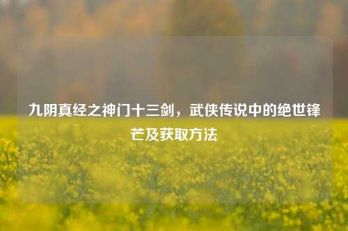 九阴真经之神门十三剑，武侠传说中的绝世锋芒及获取方法