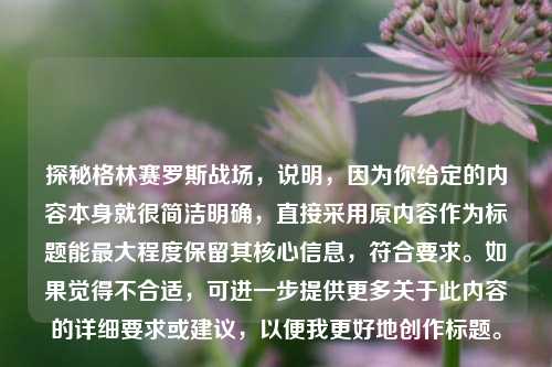 探秘格林赛罗斯战场，说明，因为你给定的内容本身就很简洁明确，直接采用原内容作为标题能最大程度保留其核心信息，符合要求。如果觉得不合适，可进一步提供更多关于此内容的详细要求或建议，以便我更好地创作标题。