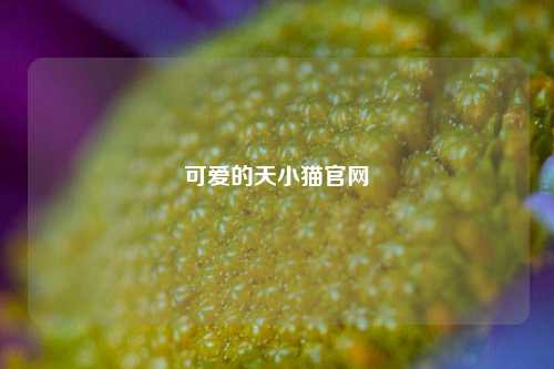 可爱的天小猫官网