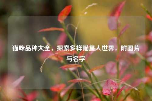猫咪品种大全,探索多样喵星人世界,附图片与名字