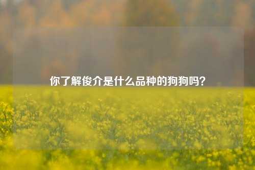 你了解俊介是什么品种的狗狗吗？