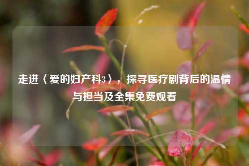 走进〈爱的妇产科3〉，探寻医疗剧背后的温情与担当及全集免费观看