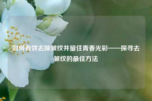 如何有效去除皱纹并留住青春光彩——探寻去皱纹的最佳方法