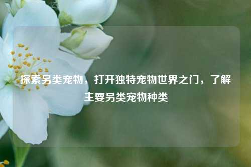 探索另类宠物，打开独特宠物世界之门，了解主要另类宠物种类