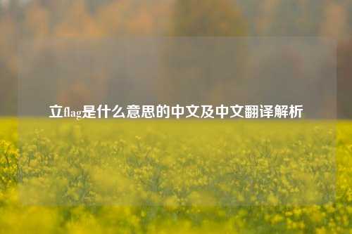 立flag是什么意思的中文及中文翻译解析