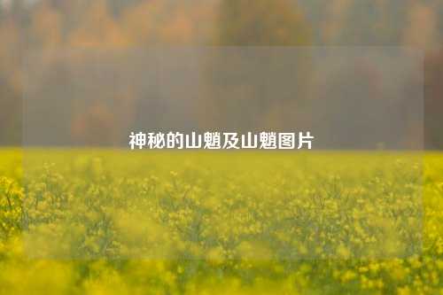 神秘的山魈及山魈图片