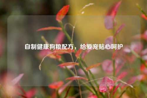 自制健康狗粮配方,给爱宠贴心呵护