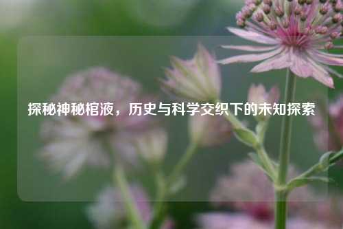 探秘神秘棺液，历史与科学交织下的未知探索