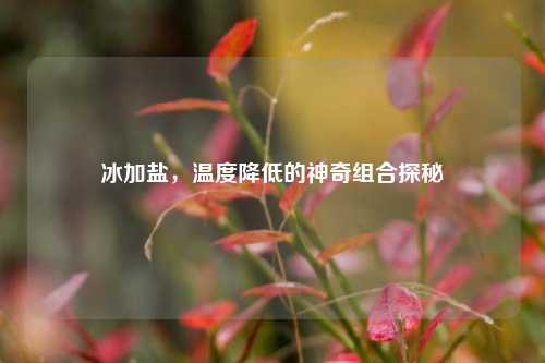 冰加盐，温度降低的神奇组合探秘