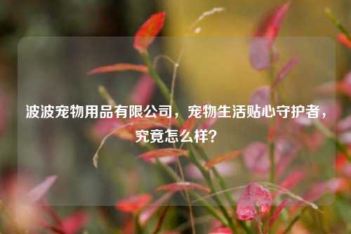 波波宠物用品有限公司，宠物生活贴心守护者，究竟怎么样？