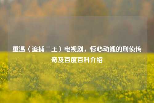 重温〈追捕二王〉电视剧，惊心动魄的刑侦传奇及百度百科介绍