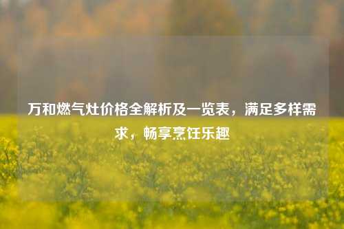 万和燃气灶价格全解析及一览表,满足多样需求,畅享烹饪乐趣