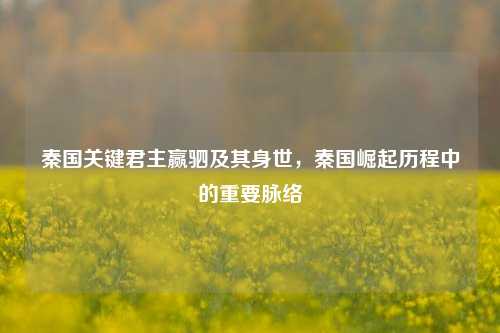 秦国关键君主赢驷及其身世，秦国崛起历程中的重要脉络