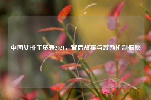 中国女排工资表2021，背后故事与激励机制揭秘