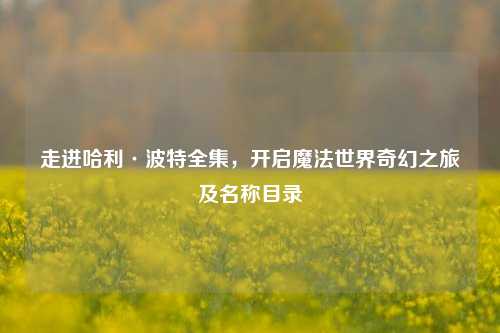 走进哈利·波特全集,开启魔法世界奇幻之旅及名称目录