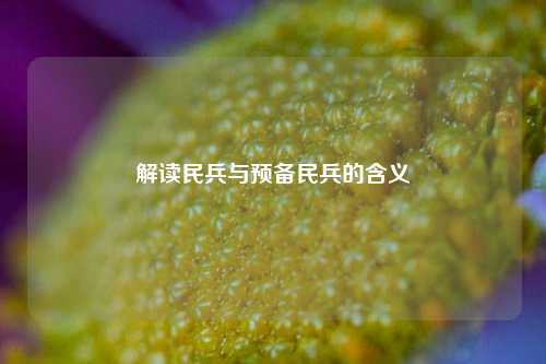 解读民兵与预备民兵的含义