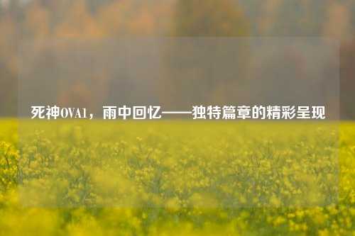 死神OVA1，雨中回忆——独特篇章的精彩呈现