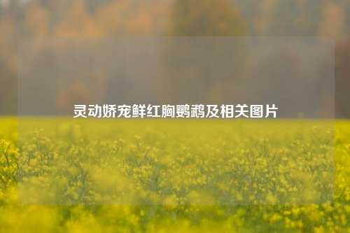 灵动娇宠鲜红胸鹦鹉及相关图片