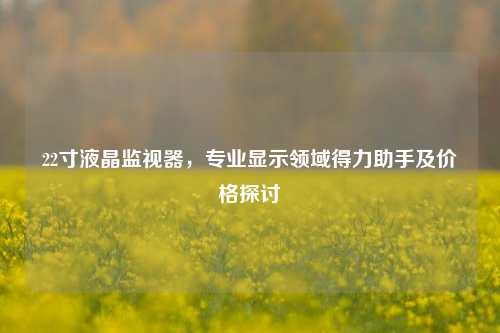 22寸液晶监视器，专业显示领域得力助手及价格探讨