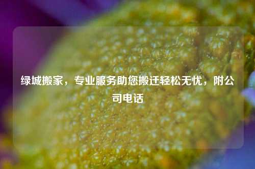 绿城搬家,专业服务助您搬迁轻松无忧,附公司电话