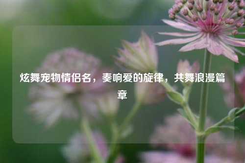 炫舞宠物情侣名，奏响爱的旋律，共舞浪漫篇章