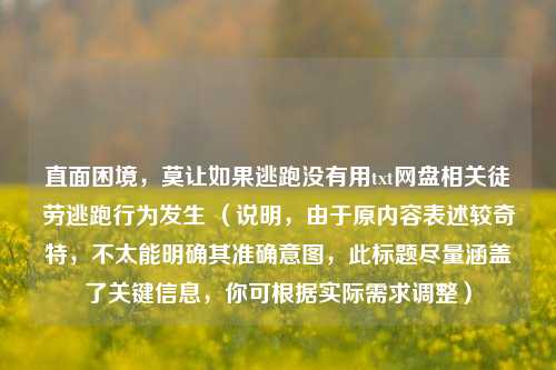 直面困境,莫让如果逃跑没有用txt网盘相关徒劳逃跑行为发生 (说明,由于原内容表述较奇特,不太能明确其准确意图,此标题尽量涵盖了关键信息,你可根据实际需求调整)